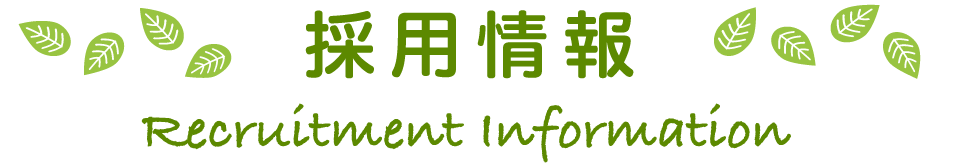 採用情報